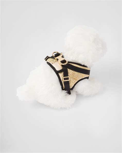 prada harness backpack|prada luxury pet accessories.